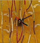 Часы_170